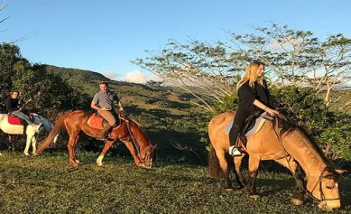 Balade à cheval