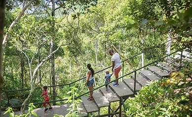 La réserve d’Ebony Forest