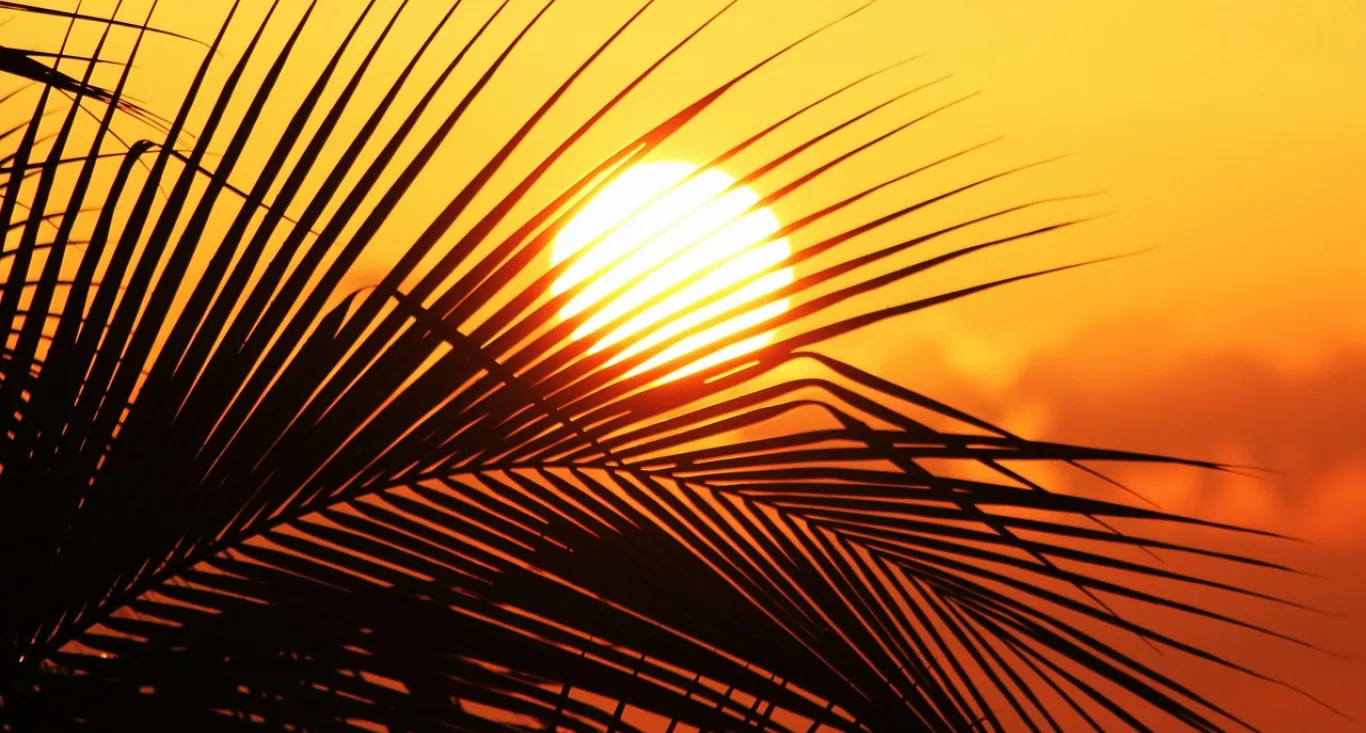 stay at domaine d'anbalaba