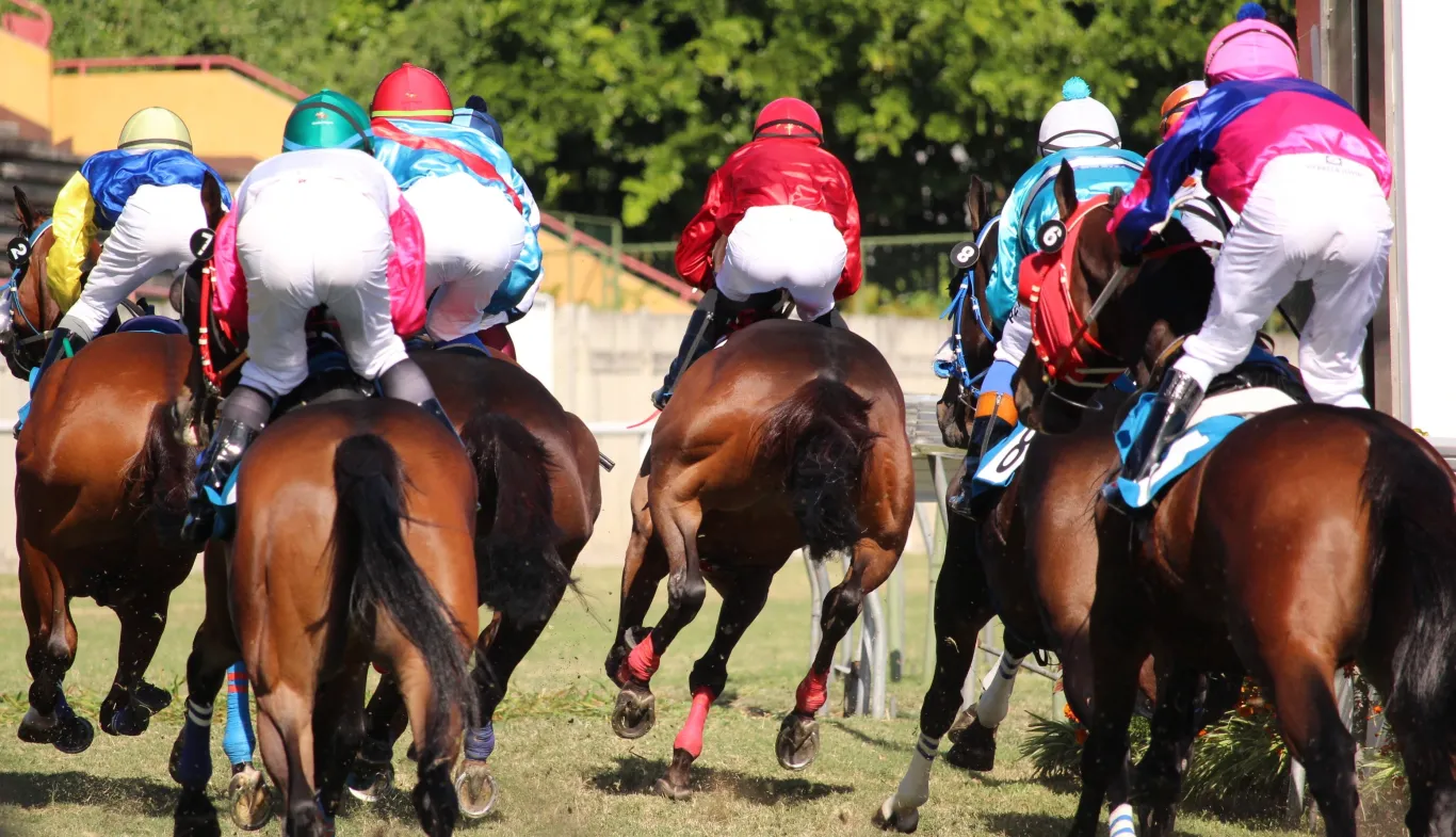 Racecourses, riding centres and beach horse