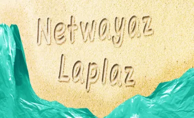 Nettoyage de la plage de Baie du Cap