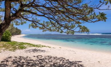 Les plages du Sud ou il fait bon vivre à l'ile Maurice