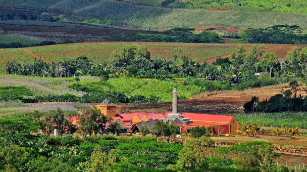 The Rhumerie de Chamarel