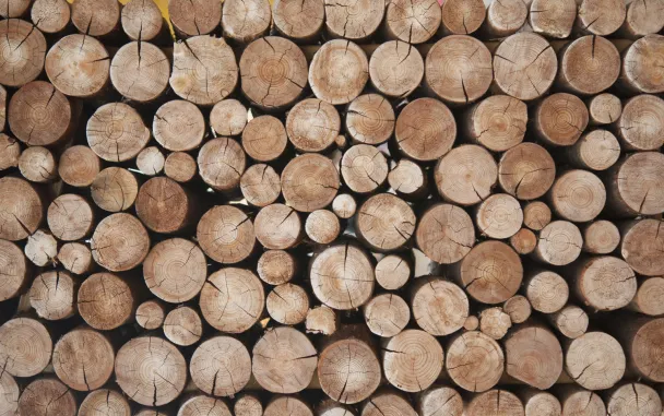 wood