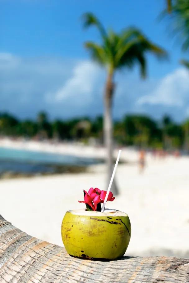 ile maurice expatriation