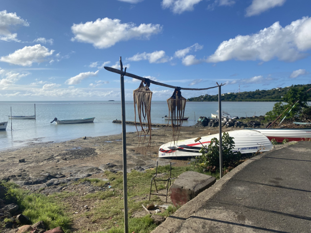 Tout savoir sur l'île Rodrigues