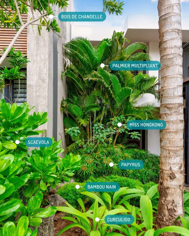 jardin tropical appartement anbalaba