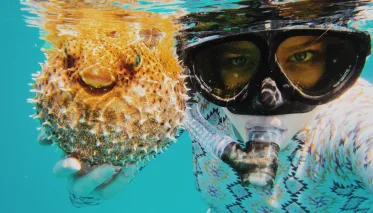 Faire du snorkelling @Anbalaba