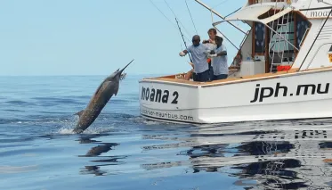 
<span>Hunting / Fishing</span>
