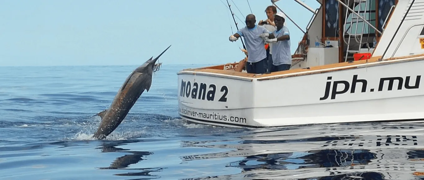 Hunting / Fishing