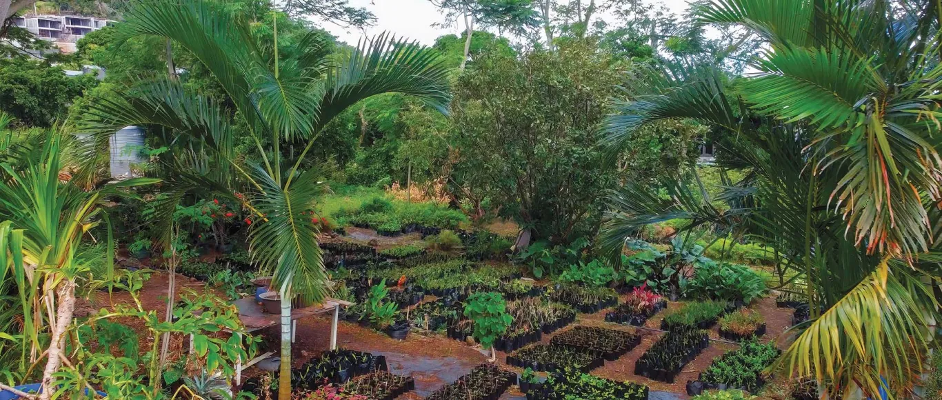 Notre pépinière d'un hectare, gérée par l'entreprise Hortus